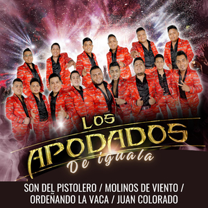 Son Del Pistolero / Molinos De Viento / Ordeñando La Vaca / Juan Colorado