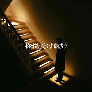 你说爱过就好
