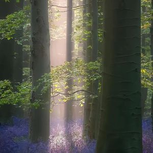 “菲 ” prod.byMorrow x Rjpasin