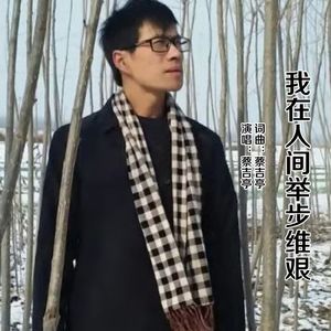 我在人间举步维艰