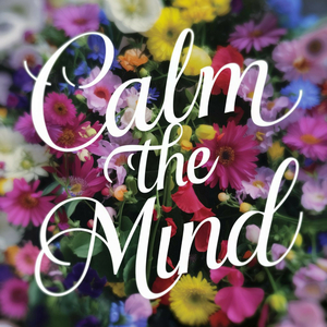 As calmness reigns, casting shadows out