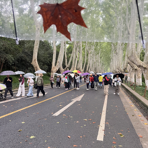 我何苦又问 你是否认真