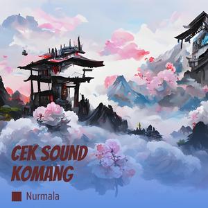 Cek Sound Komang