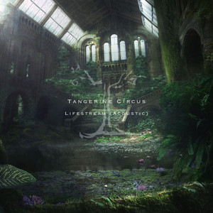 Lifestream (Acoustic Version)