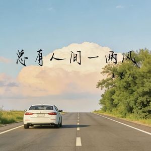 总有人间一两风
