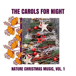 Atractive Bird Chorus