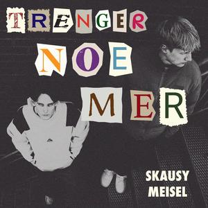 TRENGER NOE MER (feat. Meisel)