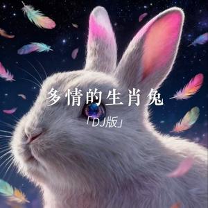 多情的生肖兔(다정한 토끼) (DJ版)