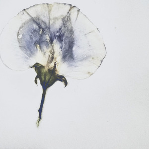 10days (feat. tasato & HANG)