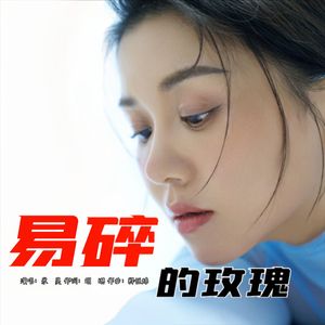 易碎的玫瑰（DJ版）