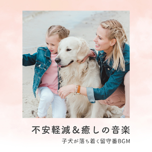 愛犬と共に過ごす静寂
