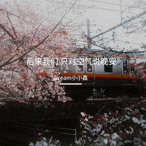 后来我们 只对空气说晚安