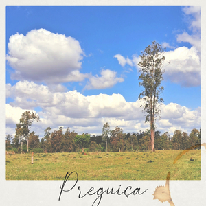 Preguiça