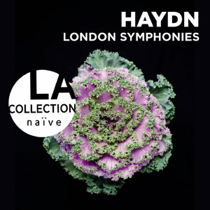 Symphony in E-Flat Major, Hob. I:103, "Drumroll": I. Adagio - Allegro con spirito