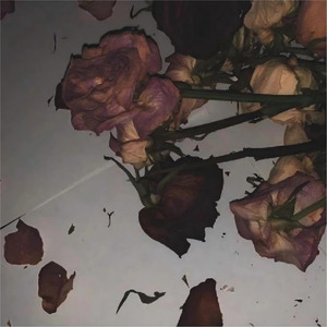 如果还能回到故事的开头