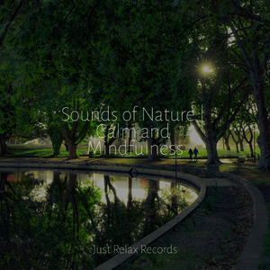 Ethereal Lull of Longing