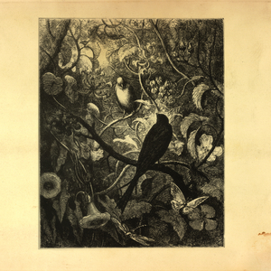 Falkenberg ((Pilooski Edit))