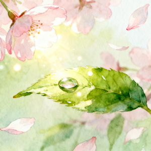 春のひとしずく