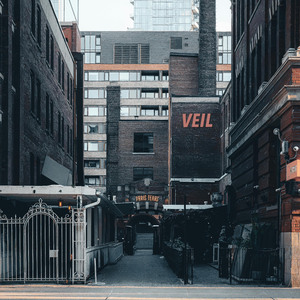 VEIL