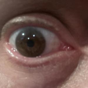 Brown and dried (feat. Alli Watson)