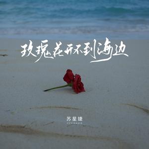 玫瑰花开不到海边
