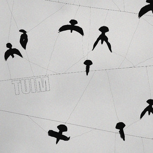 Tuim