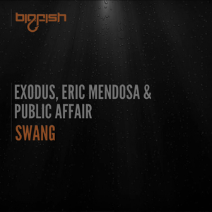 Swang (Original Mix)