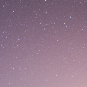 一朝芳草碧连天