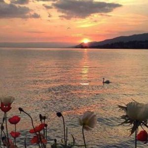 其实好多苦不敢对谁讲 (烟嗓版)