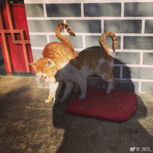 人海（Cover 燕池）