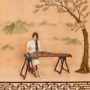 雪雁南飞 (古筝独奏纯音乐)