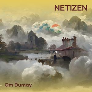 Netizen (Remastered 2024)
