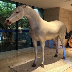 数字星河追梦人.wav