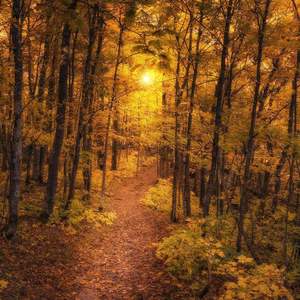 nice2meetu(p.brakence)