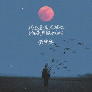 我还是忘不掉你