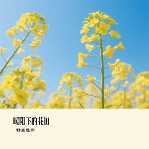 暖阳下的花田