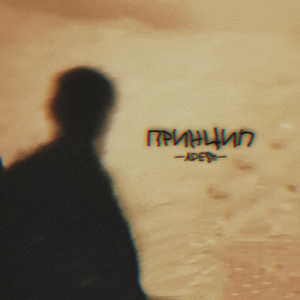 Принцип