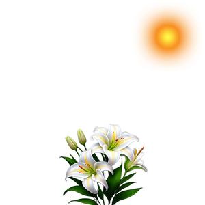 EYE LILY LOW ( THE Ms. PAT SHOW EDITION )