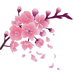 写毕业论文有感