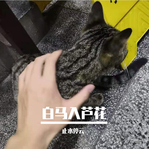 白马入芦花（翻自 河图）