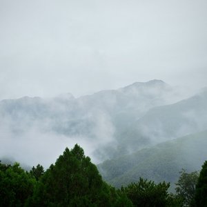 原来思念有声音