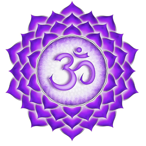 Sahasrara Crown Chakra Violet Note B 963Hz Meditation Soundbath