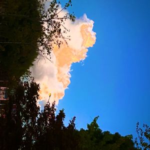 a dream during the nap