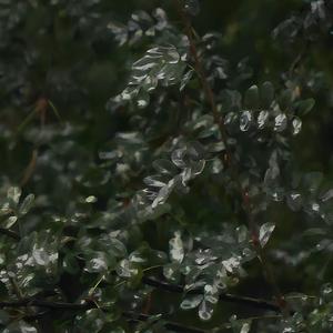 Опять демка 2