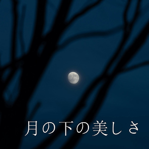 月の下の美しさ