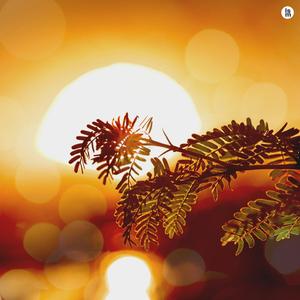 너와 나의 사이