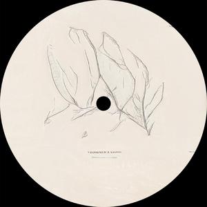 Decomposition (Vedran Komm Remix) (Vedran Komm Remix)