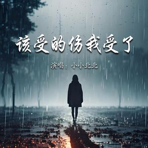 该受的伤我受了