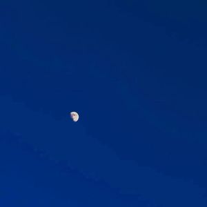 小胡同 女声版（cover：郑润泽）