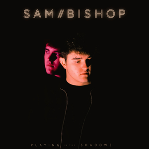 Playing in the Shadows